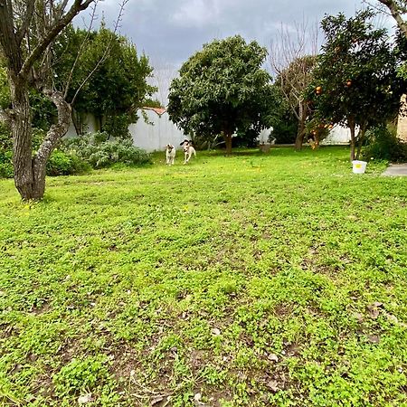Salento Appartamenti Casalabate Zewnętrze zdjęcie