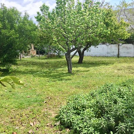 Salento Appartamenti Casalabate Zewnętrze zdjęcie