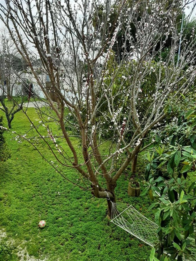Salento Appartamenti Casalabate Zewnętrze zdjęcie