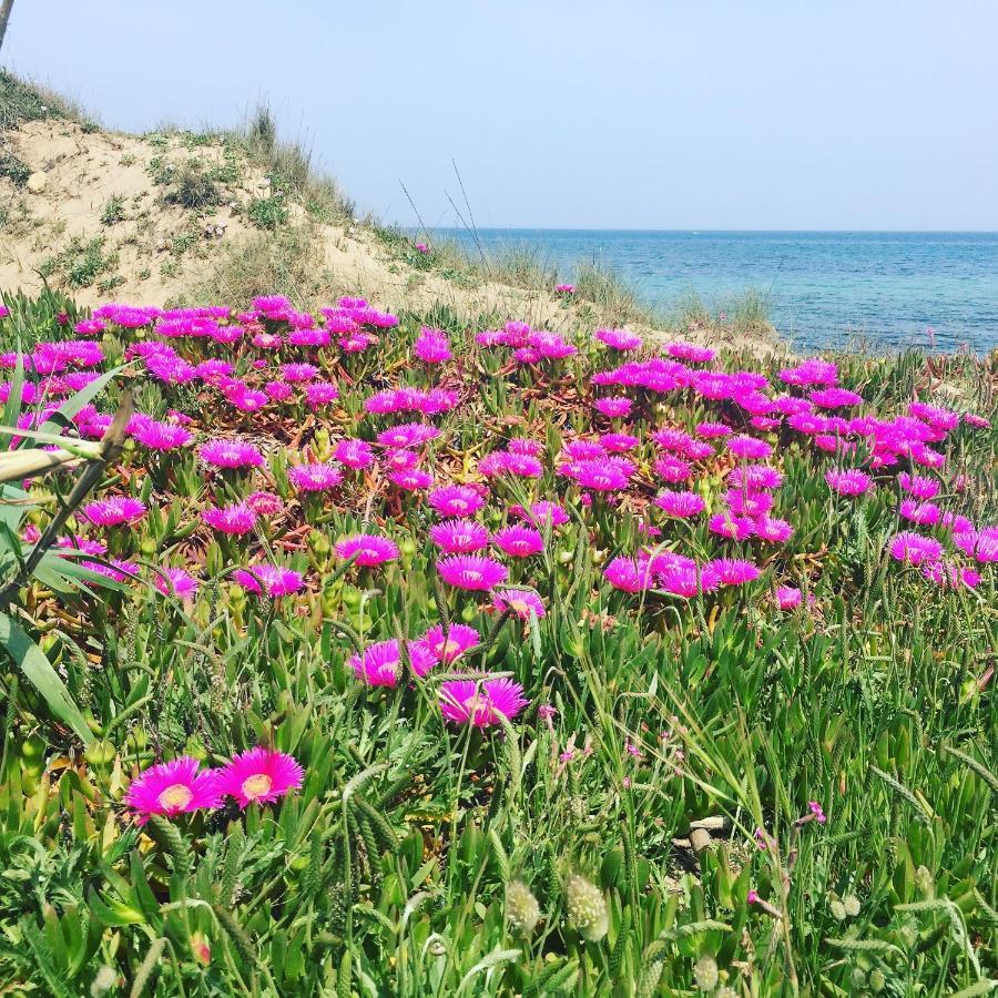 Salento Appartamenti Casalabate Zewnętrze zdjęcie